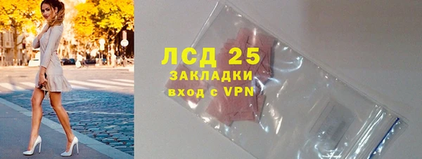 стафф Алексин
