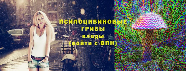 стафф Алексин