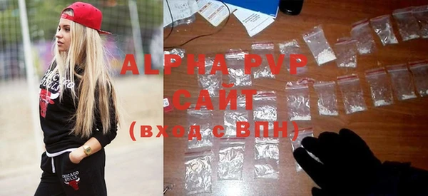 стафф Алексин