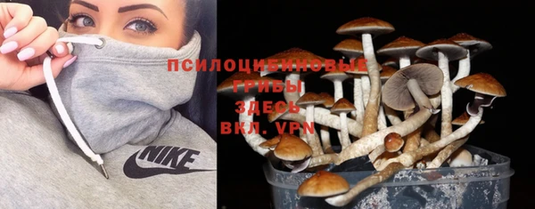 стафф Алексин