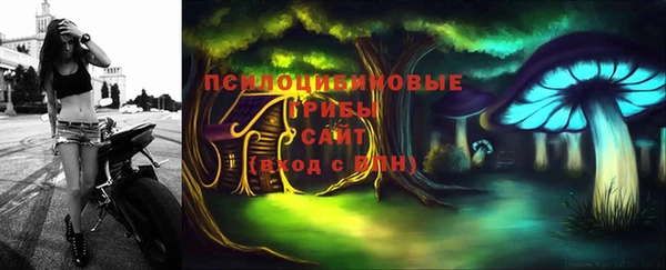 стафф Алексин