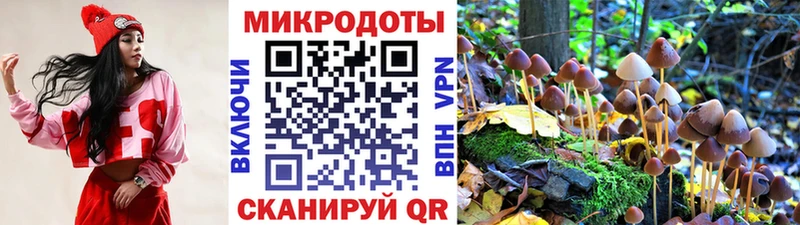 Псилоцибиновые грибы мицелий  Нижняя Салда 
